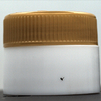 Side black spot