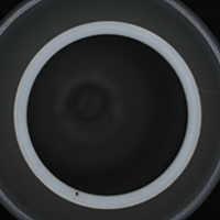 Black spots on bottle