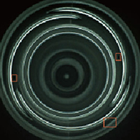 Body speck
