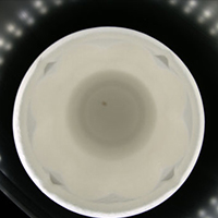 Inner wall bottom macula