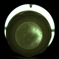 Top light transmission