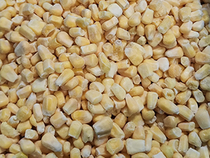 Corn