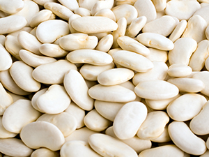 Bean