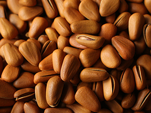 Pine nuts