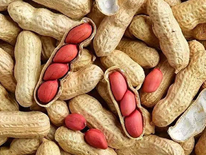 Peanuts