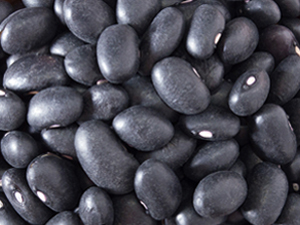 Black bean