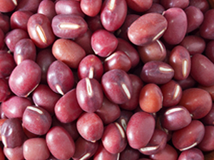 Red bean