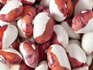 Cowpea