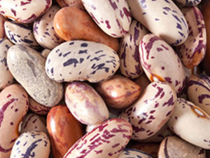 Light speckled kidney bean