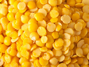 Yellow lentil