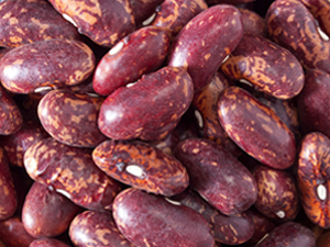 Kidney bean