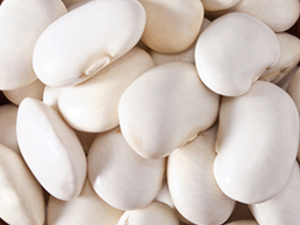 White kidney bean