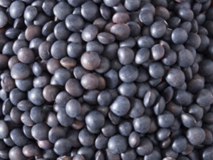 Black bean