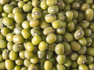 Mung bean