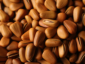 Pine nuts