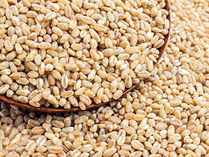 Wheat berry