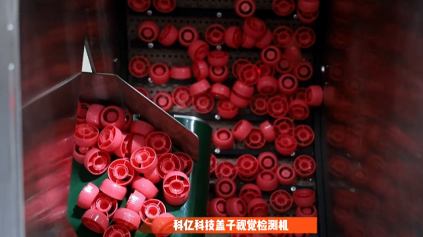 Quality Inspection for Mushroom-Shaped Lids