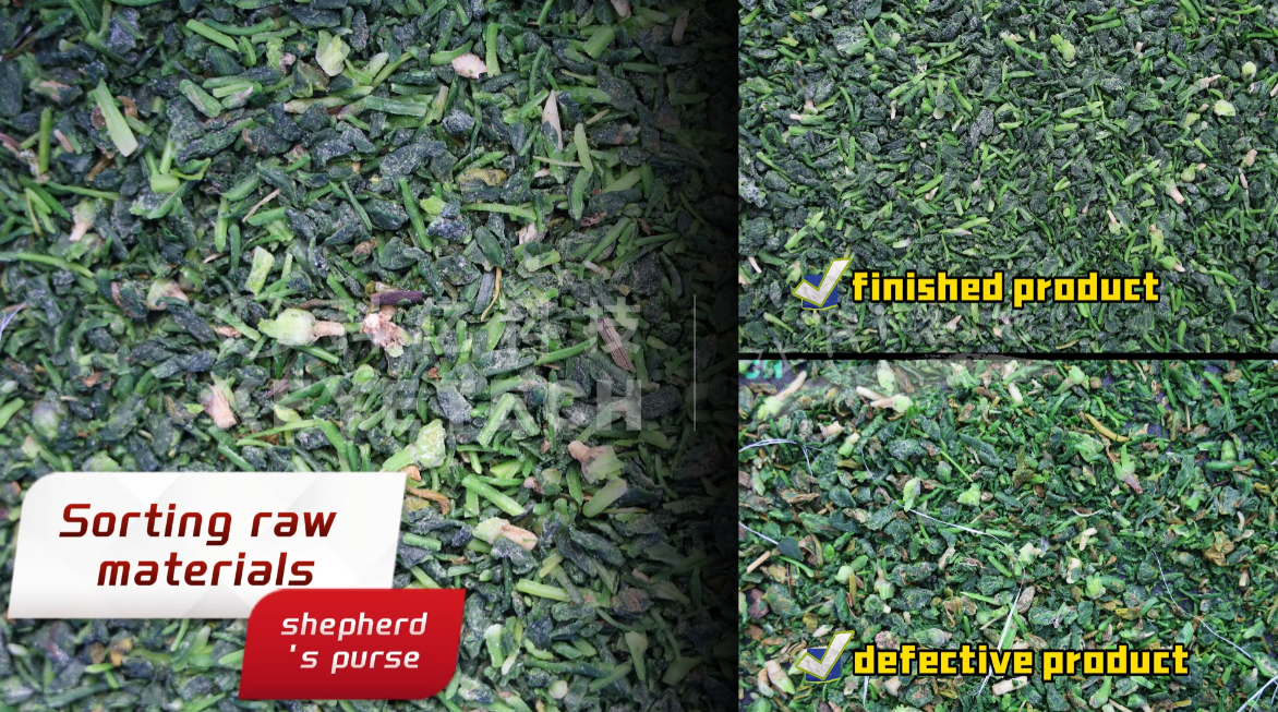 AI belt type sorter-Frozen shepherd's purse (plastic impurities, woven bags, yellow leaves)