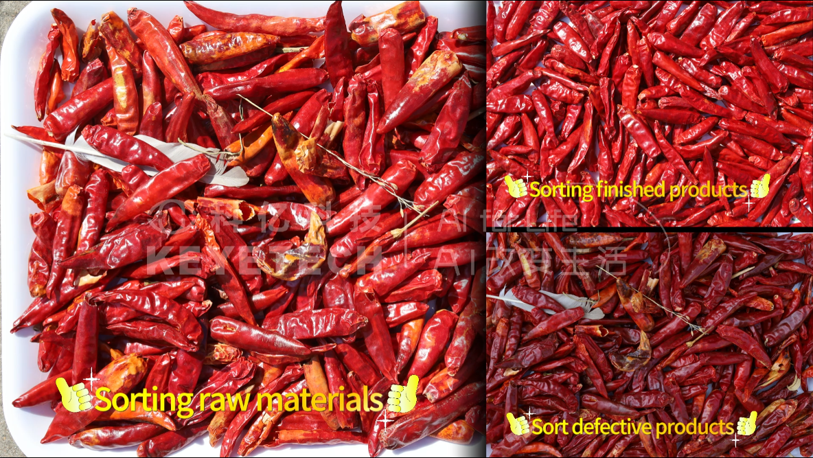 AI belt type sorter-Dried chili peppers (discoloration skin, mold, impurities)