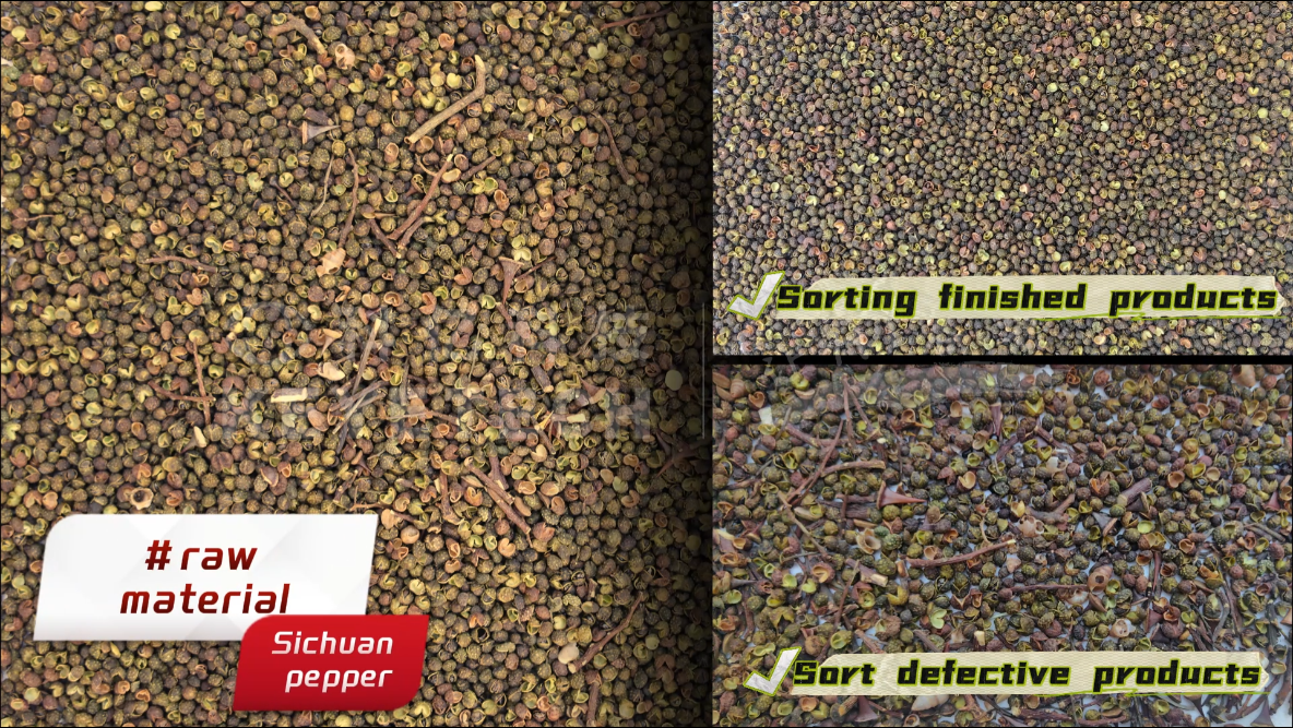 AI belt type sorter-Sichuan peppers (impurities, black seeds, branches and stems)