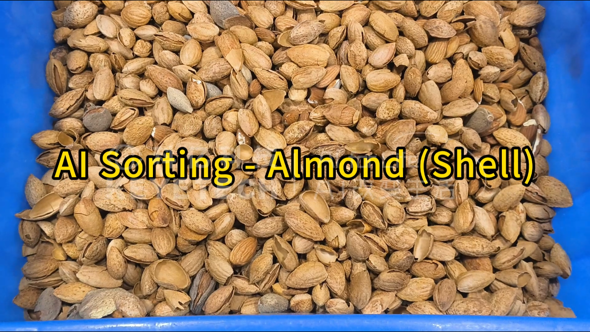 AI tracked intelligent sorting machine - almond (shell)
