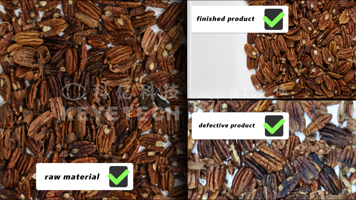 AI belt type sorter-Pecans (shell, moldy, one-time sorting)