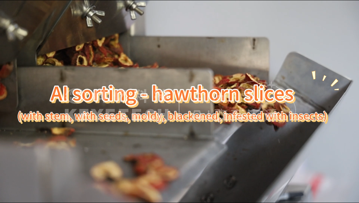 AI belt type sorter-Hawthorn slices (moldy, with seeds, with stems, blackened, or worm-eaten)