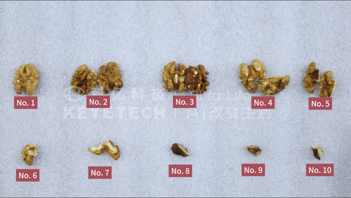 Walnut AI Sorting Machine Video