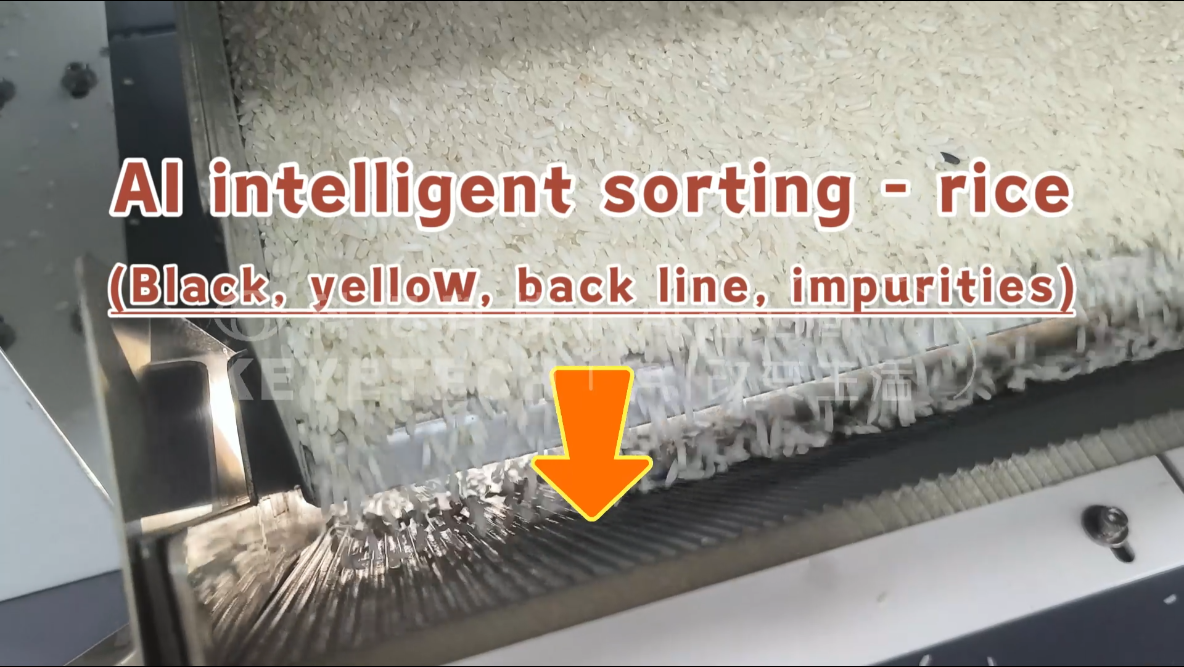 AI vertical sorter-Rice (select black, broken, yellow, impure ones)
