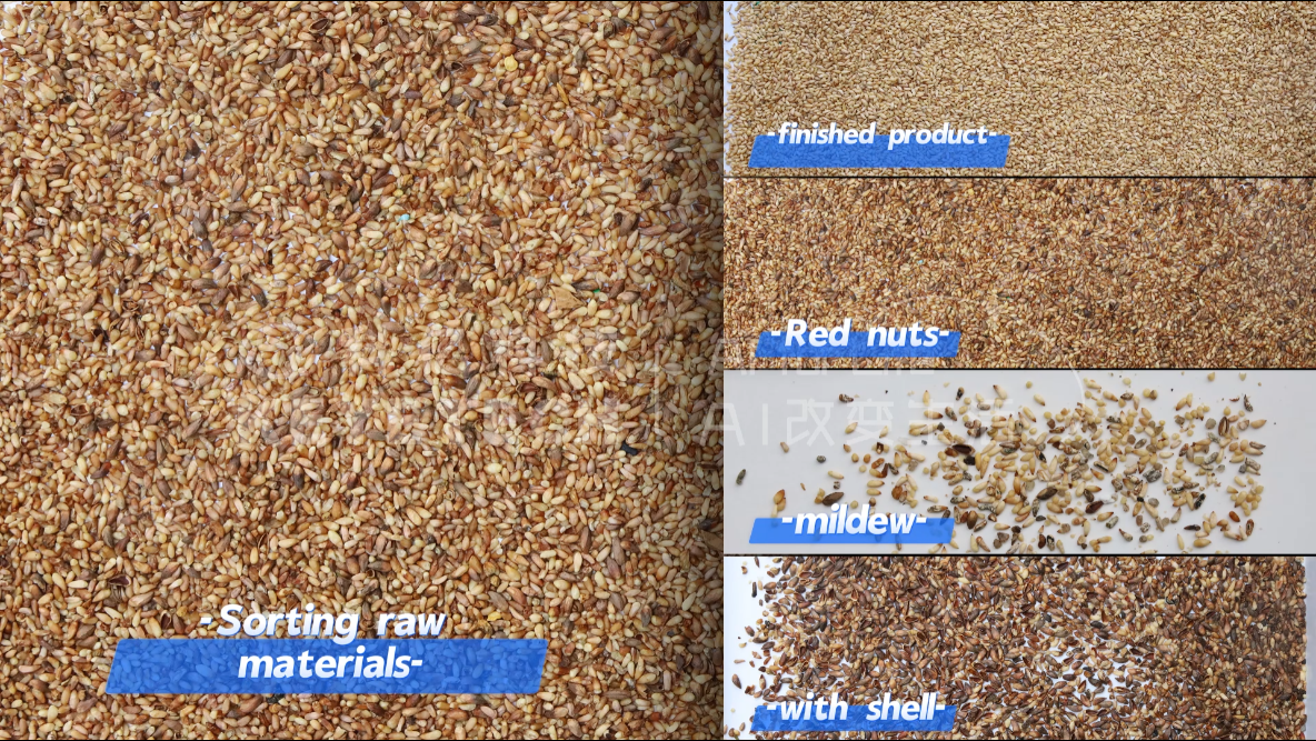 AI vertical sorter-Kernels (select moldy, red and unshelled kernels)
