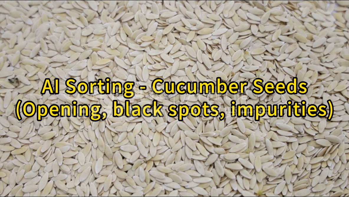 AI vertical intelligent sorting machine - cucumber seeds (opening, black spots, impurities)