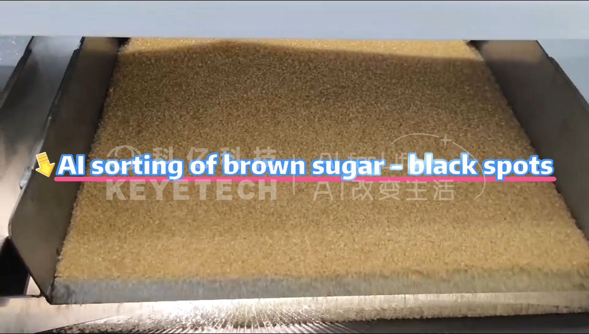 AI vertical sorter-Brown sugar (black spots)