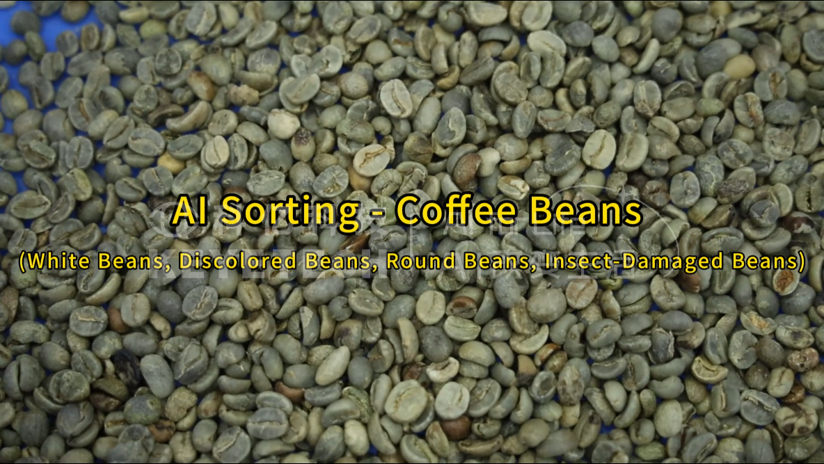 Coffee Beans (Round Beans, Insect-Damaged, Discolored, White Beans)