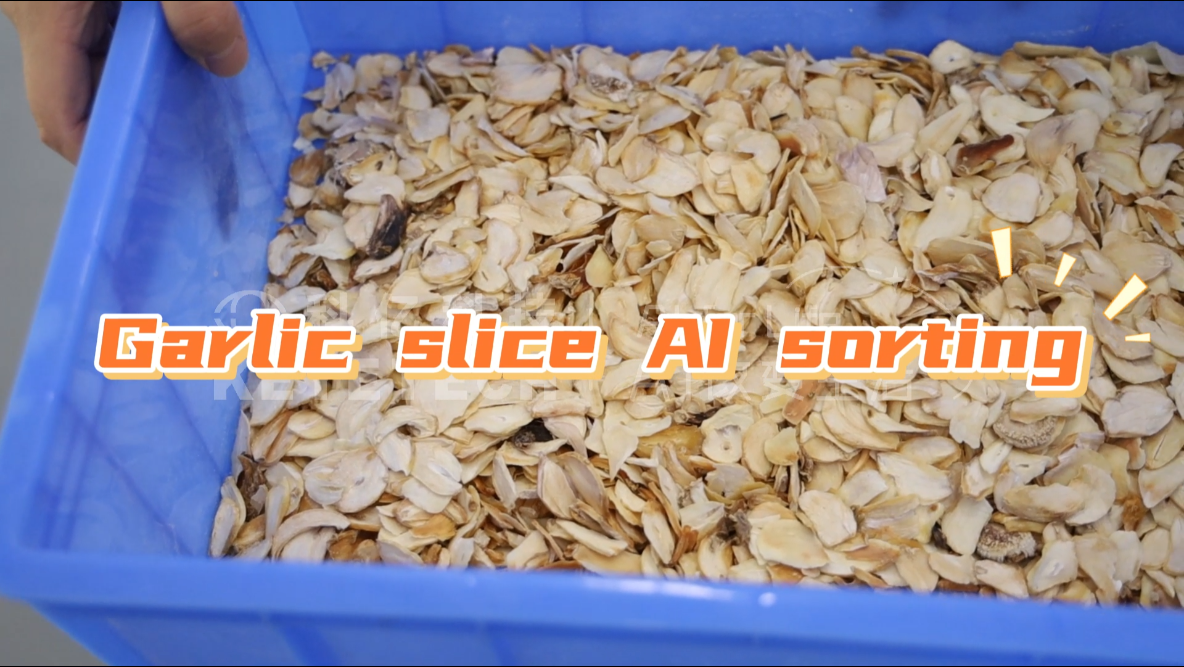 AI vertical sorter-Garlic slices (select red, black and impure ones)