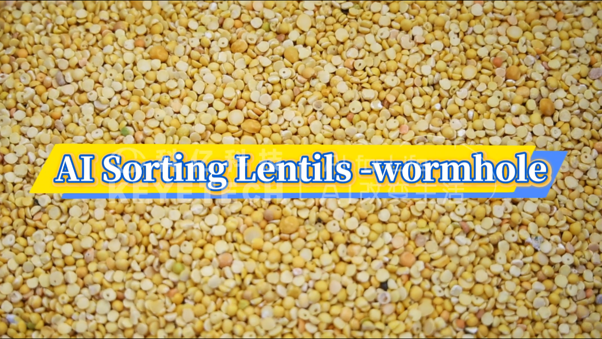 AI vertical intelligent sorting - Lentils (wormhole, heterochromatic)