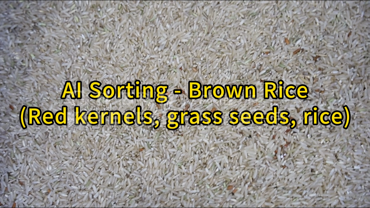AI vertical intelligent sorting - brown rice (red kernels, grass seeds, rice)