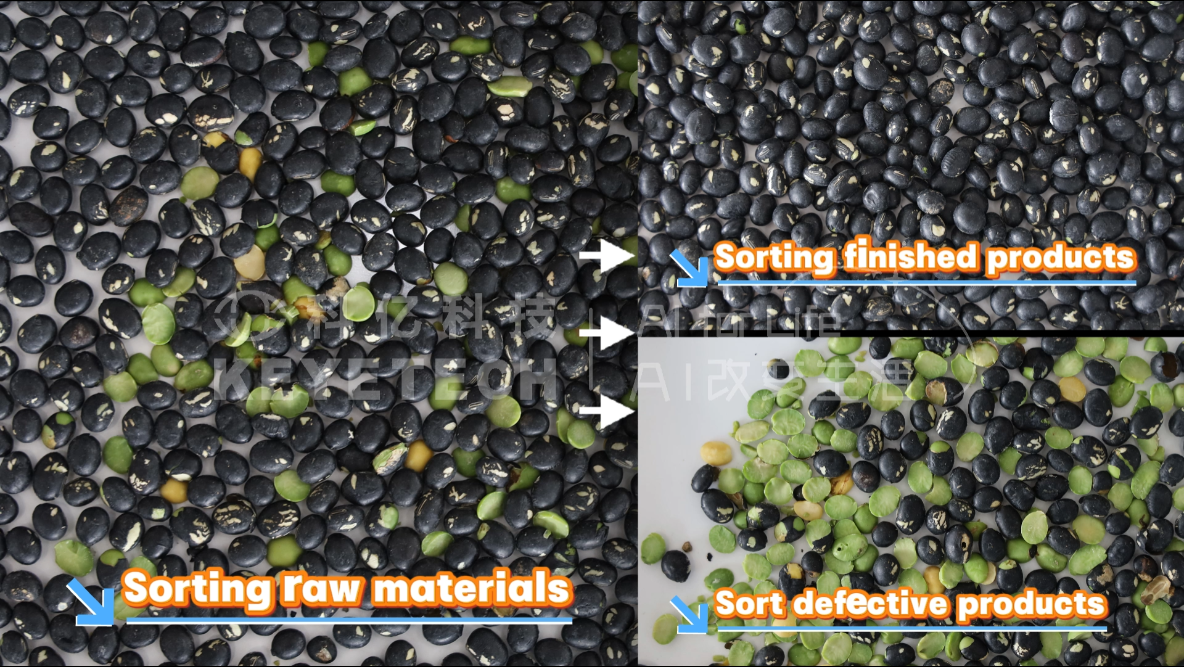 AI vertical sorter-Black beans (wormhole, broken)