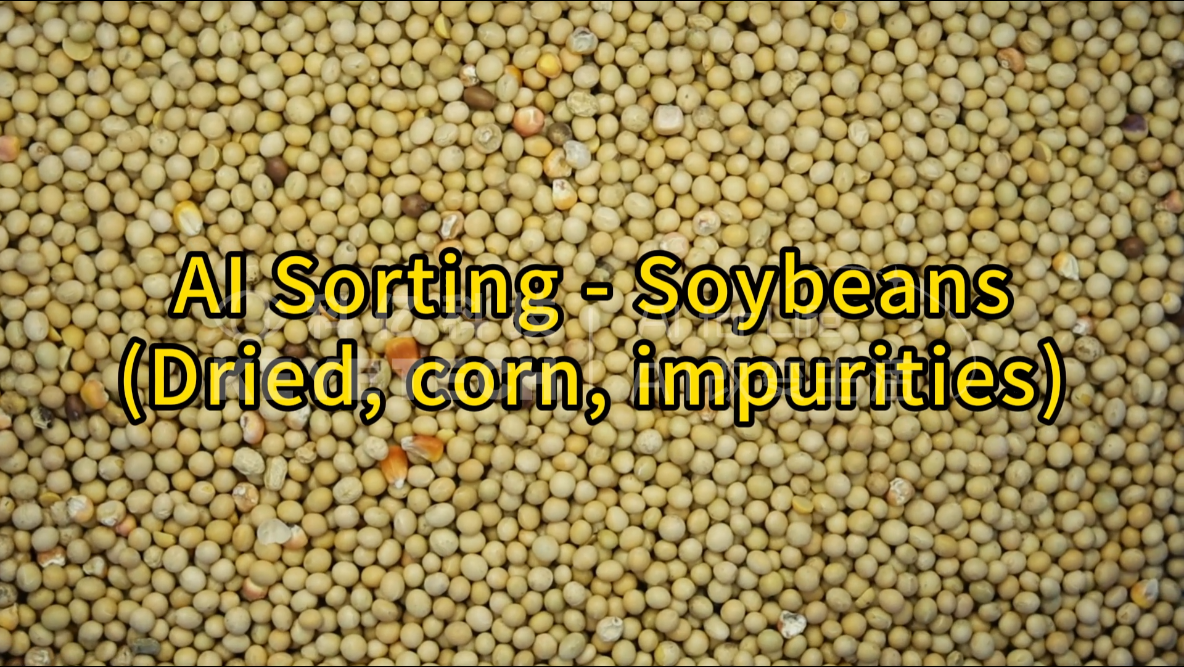 AI vertical intelligent sorter - soybeans (wizened, corn, impurities)