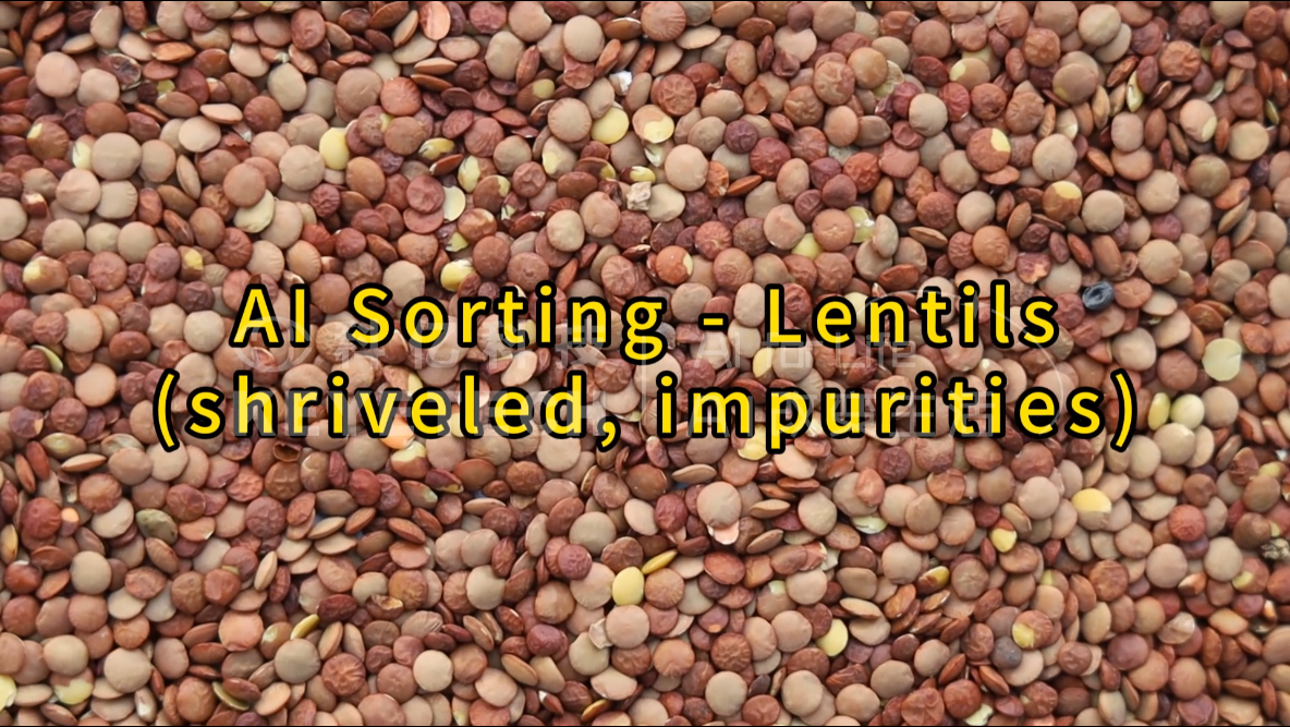 AI vertical intelligent sorter lentils (wizened, impurities)