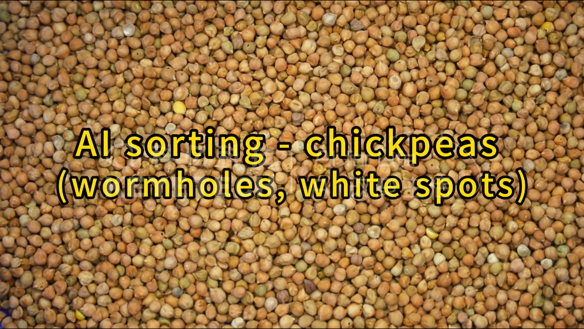 AI vertical intelligent sorting - chickpeas (insect eyes, white spots)