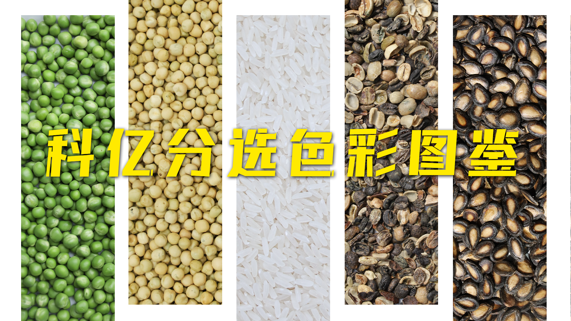 Springtime Splendor, AI-Powered Selection | Keyi Technology Material Sorting Color Guide~