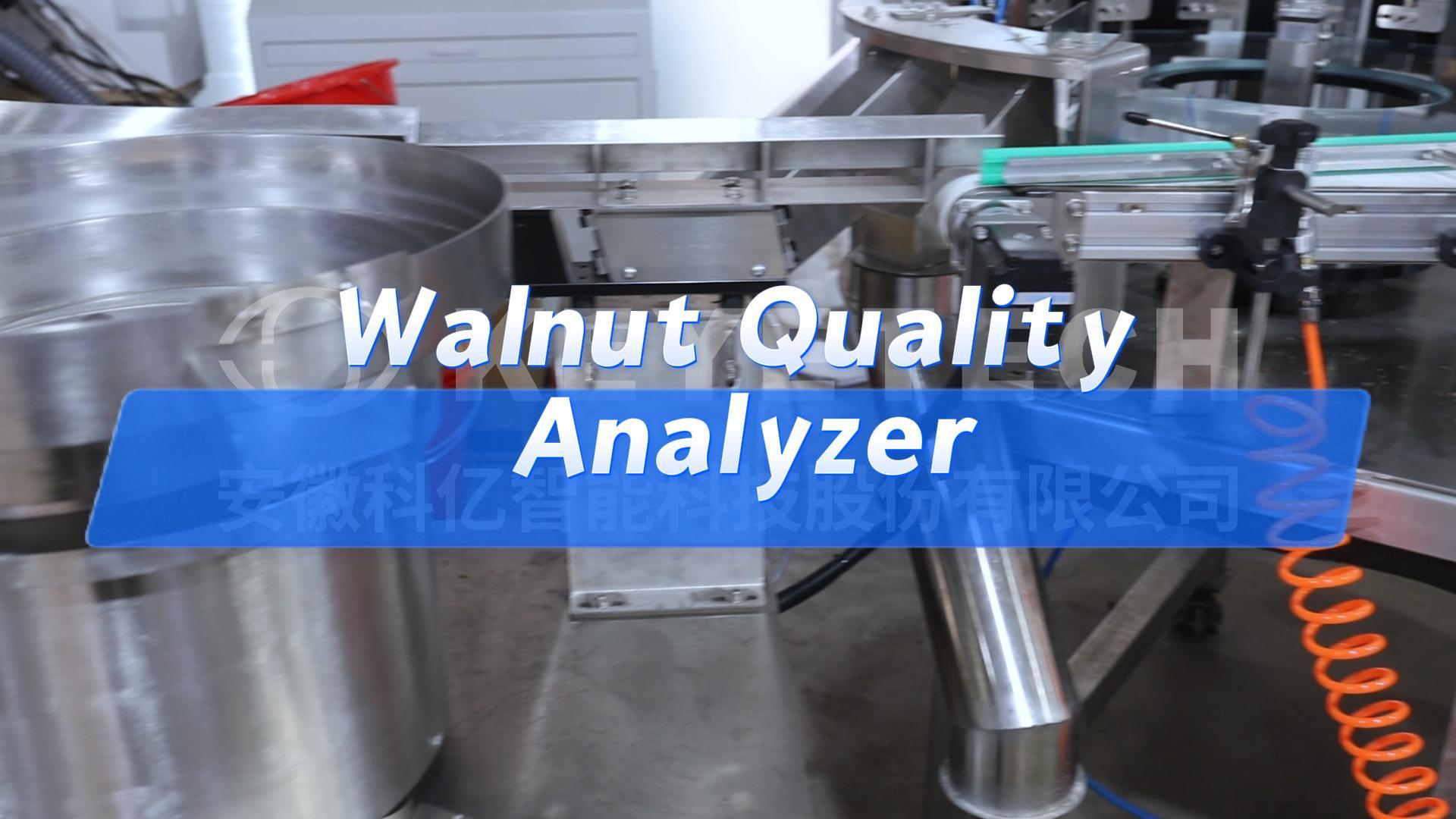 Walnut AI Sorting Machine Video