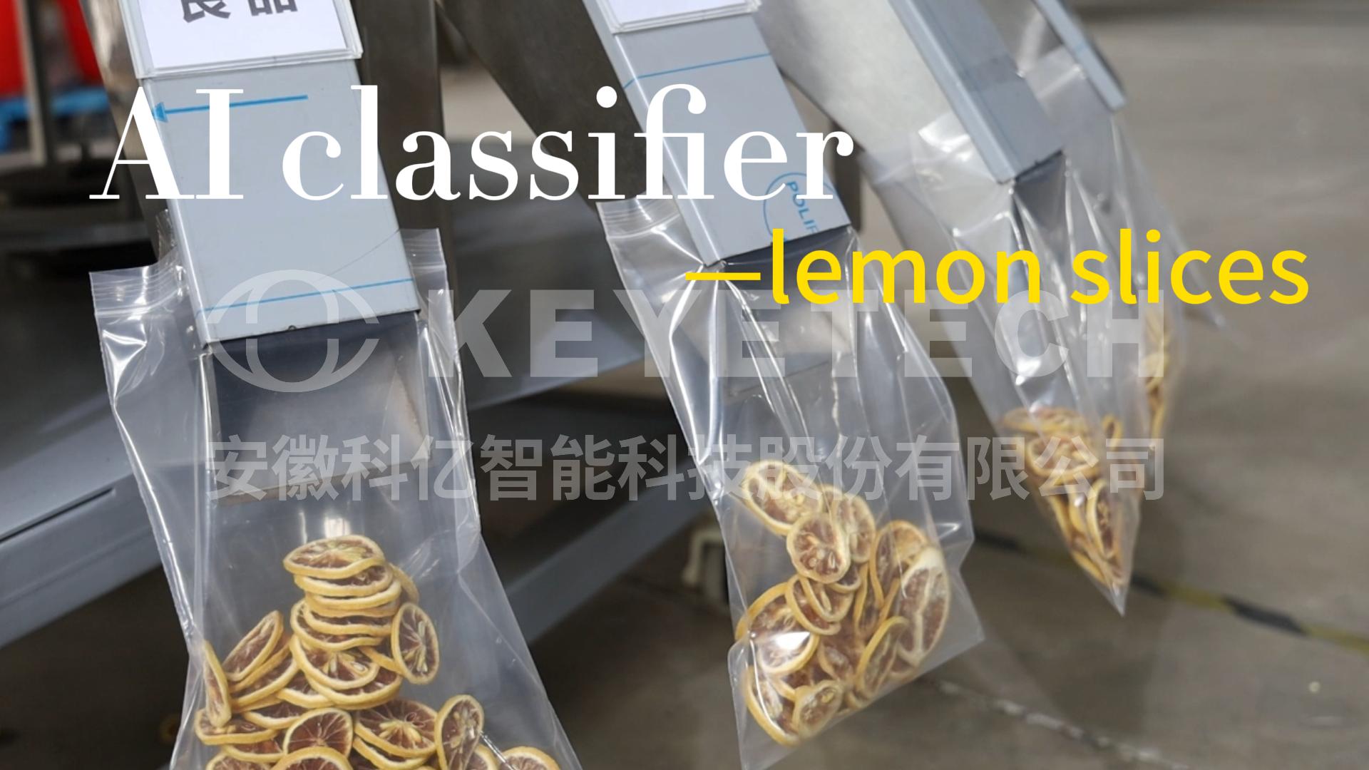 Lemon slice AI Grading machine video