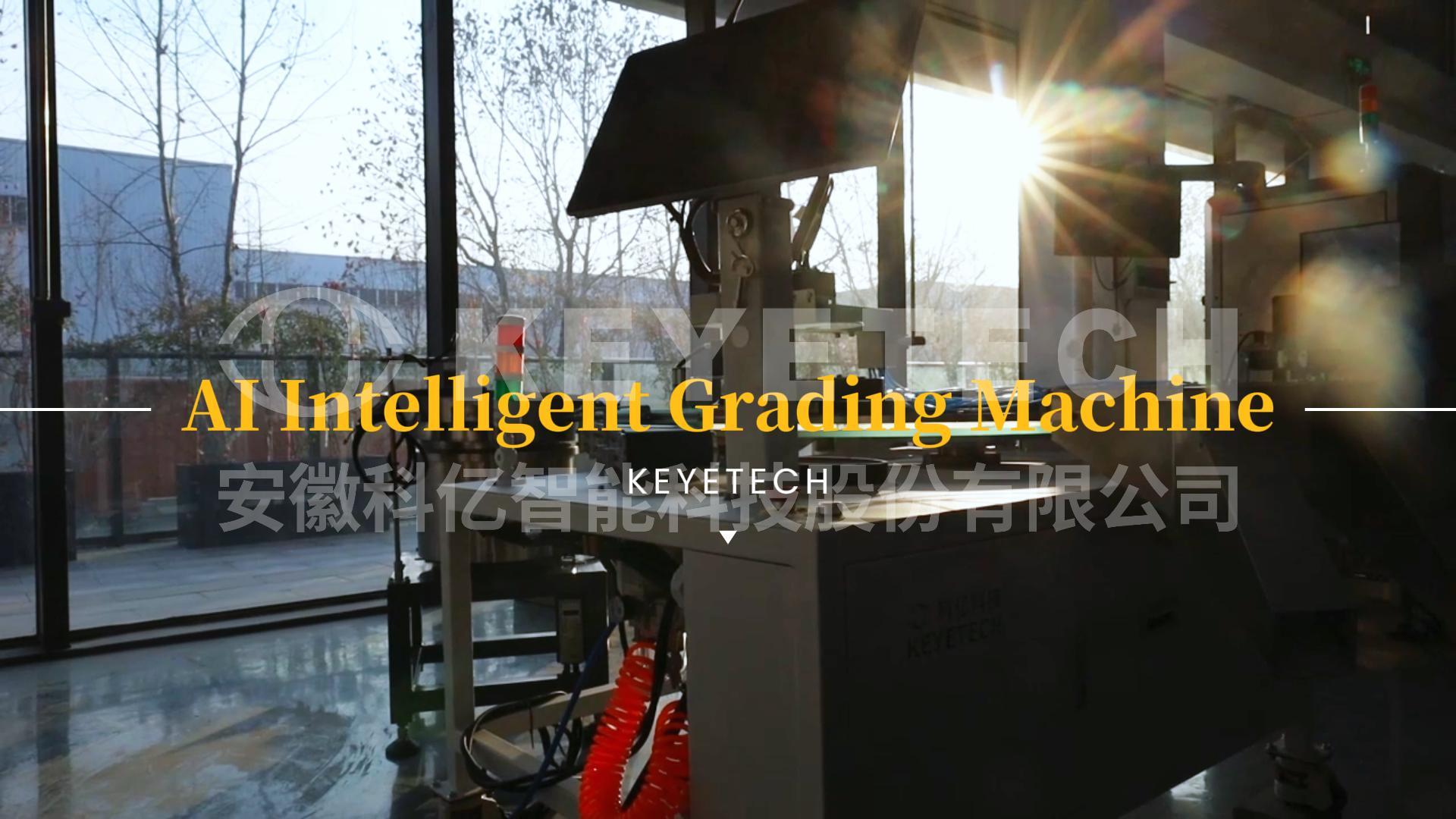 AI Quality Grading Machine