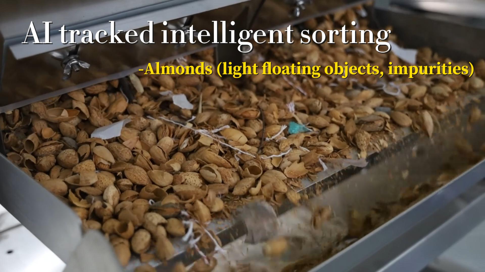 AI tracked intelligent sorting - Almonds (light floating objects, impurities)