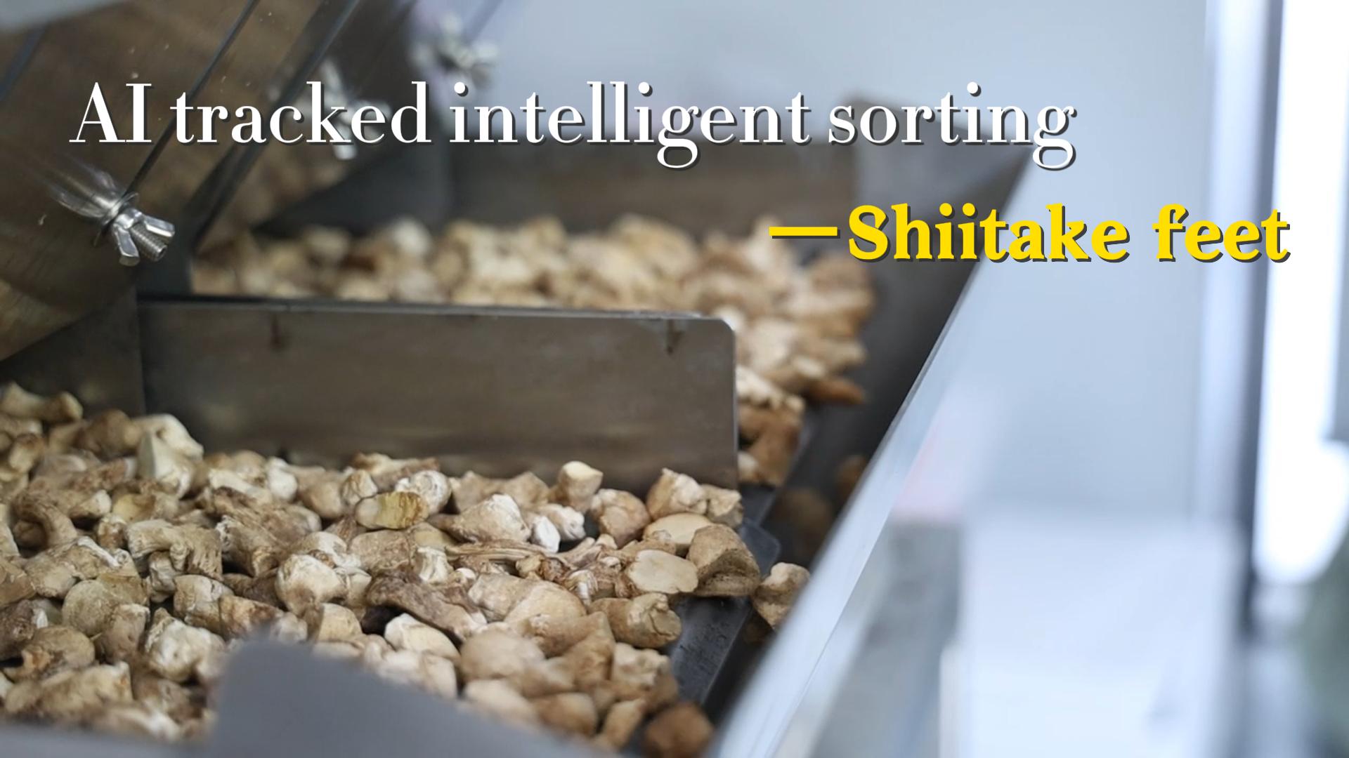 AI belt type sorter-Shiitake feet