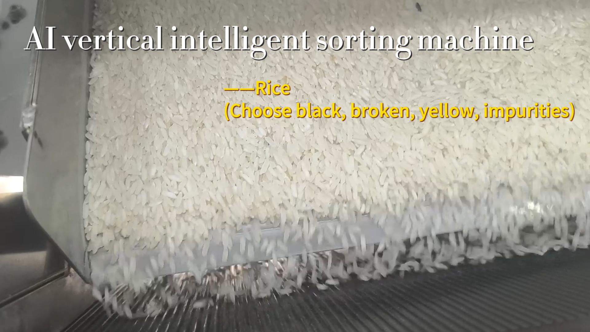 AI vertical sorter-Rice (select black, broken, yellow, impure ones)
