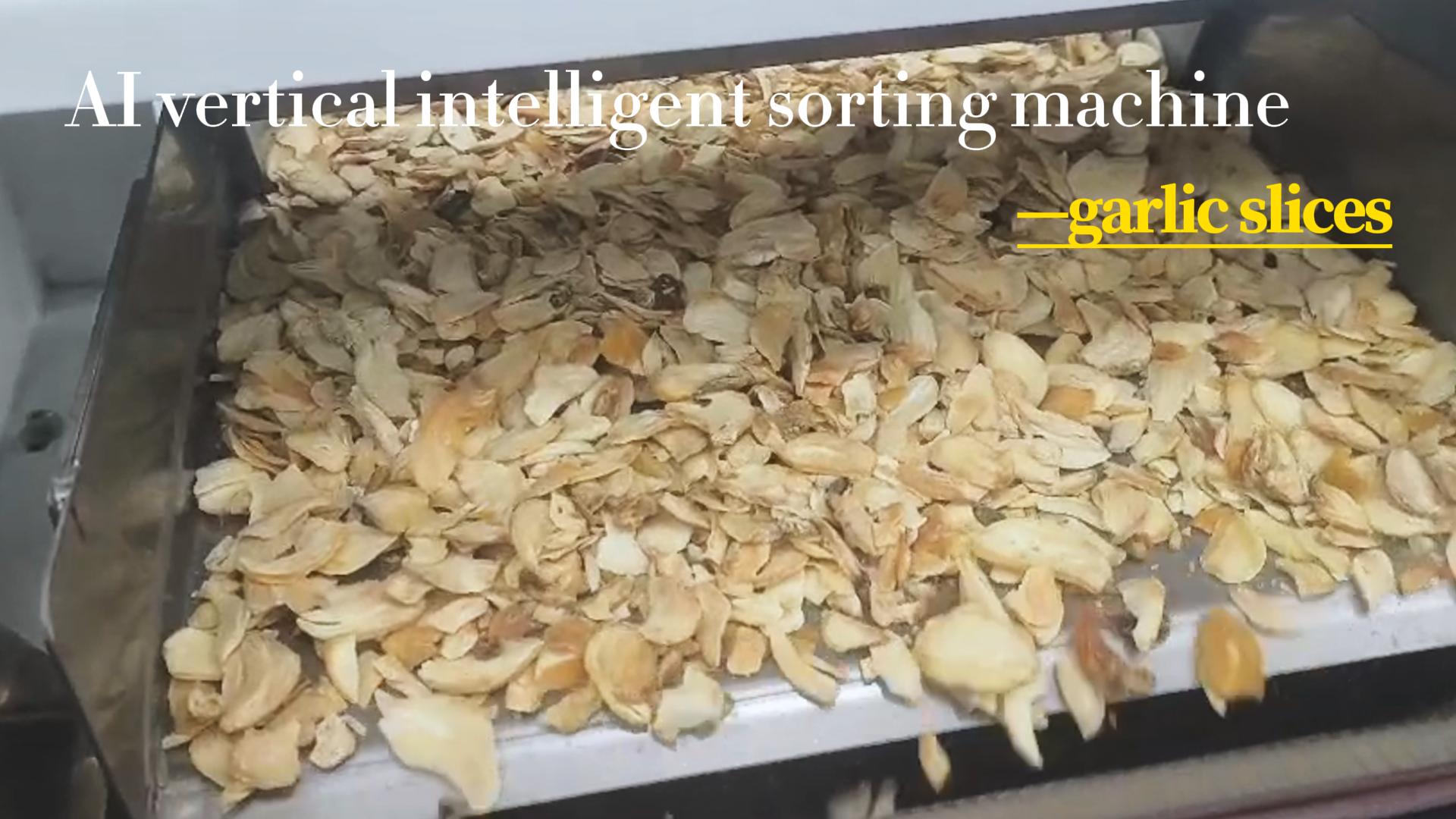 AI vertical sorter-Garlic slices