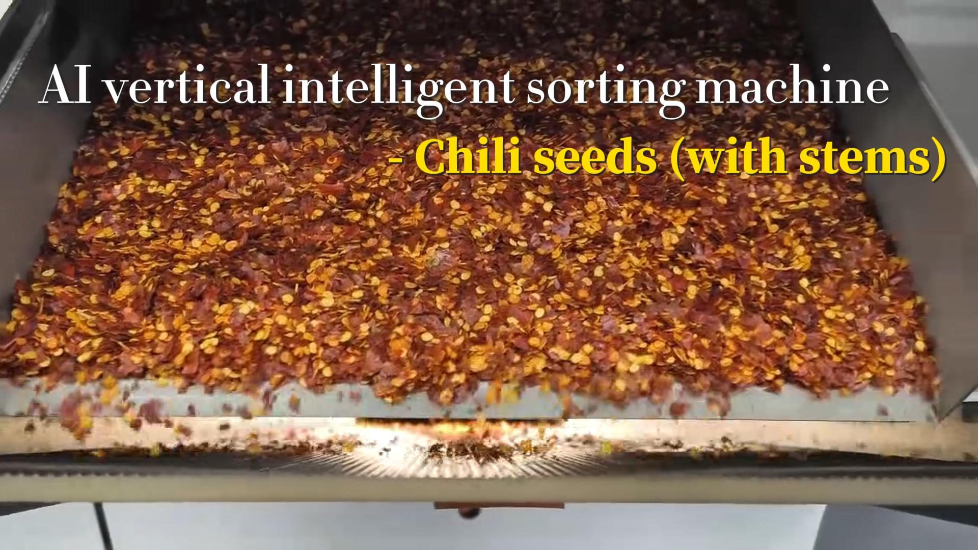 AI vertical sorter-Chili seeds (with stems)