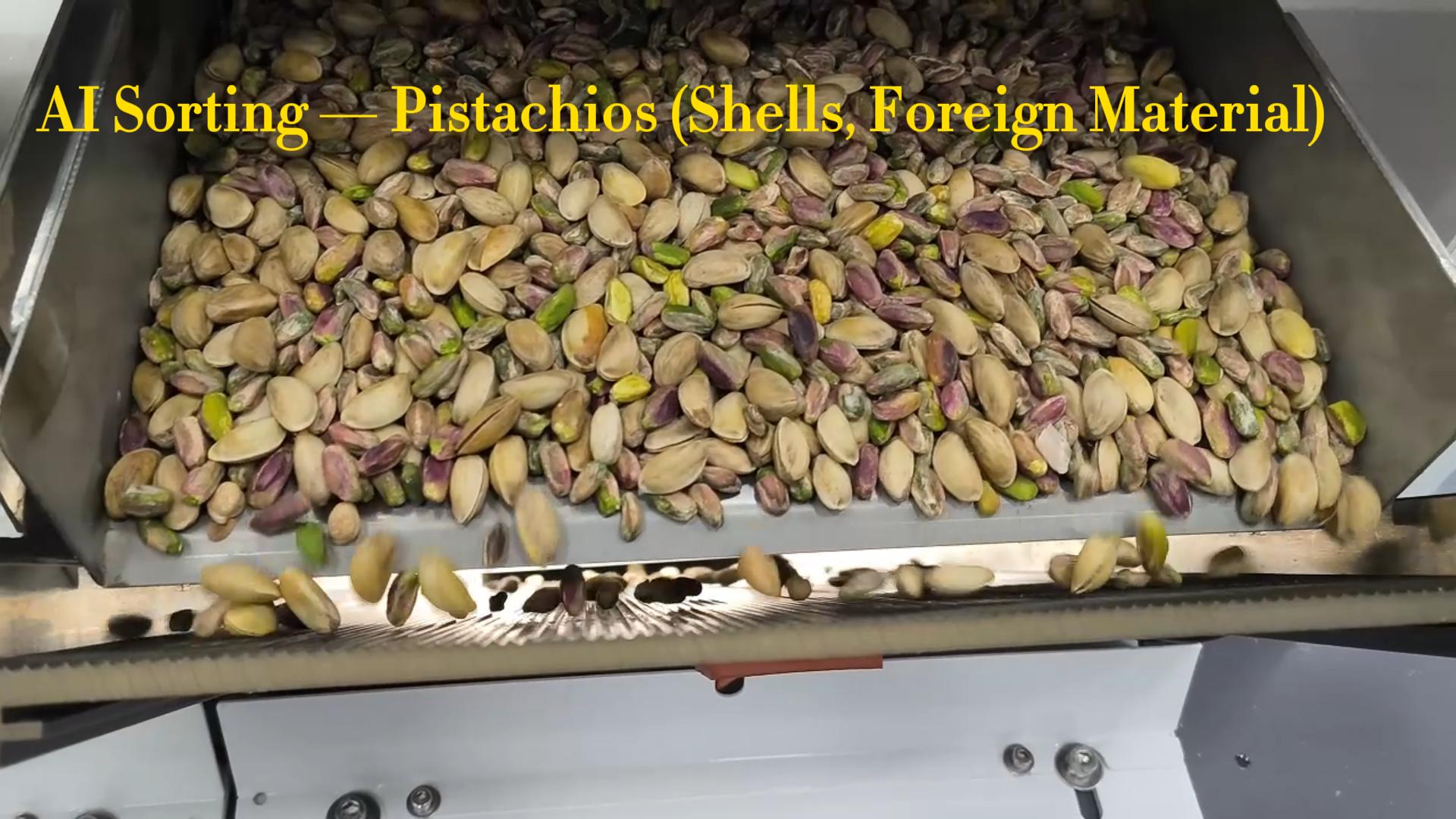 AI Vertical-Type Intelligent Sorting — Pistachios (Shells, Foreign Material)